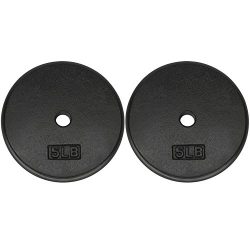 Yes4All 1-inch Cast Iron Weight Plates for Dumbbells – Standard Weight Disc Plates (5 lbs, Set of 2)