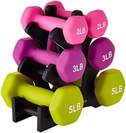 AmazonBasics 20-Pound Dumbbell Set with Stand, White Lettering