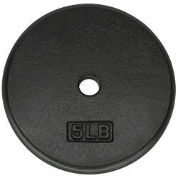 Yes4All 1-inch Cast Iron Weight Plates for Dumbbells – Standard Weight Disc Plates (5 lbs, Single)