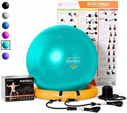 Exercise Ball Chair – 65cm & 75cm Yoga Fitness Pilates Ball & Stability Base for H ...