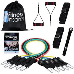 Fitness Insanity Resistance Band Set – Include 5 Stackable Exercise Bands with Waterproof  ...