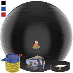 Exercise Ball Stability Fitness Balls | Best Professional Balance Anti-Burst Set – Yoga Large Th ...