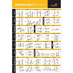 Bodyweight Exercise Poster – Total Body Workout – Personal Trainer Fitness Program & ...