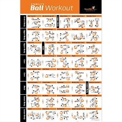 Exercise Ball Poster Laminated – Total Body Workout – Personal Trainer Fitness Progr ...