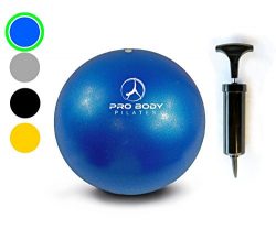 Mini Exercise Ball with Pump – 9 Inch Small Bender Ball for Stability, Barre, Pilates, Yog ...