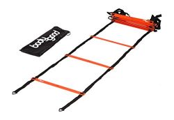 BodyGood Pro Athlete Grade Speed Agility Ladder – Extra-Long, 20 Foot Quick Ladder with Durable  ...