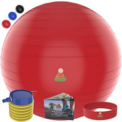 Exercise Ball Stability Fitness Balls | Best Professional Balance Anti-Burst Set – Yoga Large Th ...