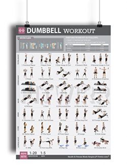 Dumbbell Exercise Workout Poster for Women – LAMINATED – Exercise For Women –  ...