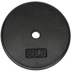 Yes4All 1-inch Cast Iron Weight Plates for Dumbbells – Standard Weight Disc Plates (10 lbs, Single)