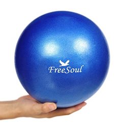 Small Pilates Ball with Pump 9 Inch Mini Bender Ball for Stability Pilates Yoga Barre Physical T ...