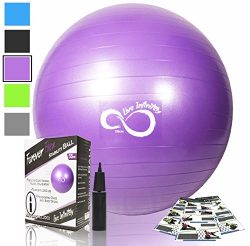 Exercise Ball -Professional Grade Exercise Equipment Anti Burst Tested with Hand Pump- Supports  ...