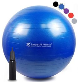 Exercise Ball for Yoga, Pilates, Therapy, Balance, Stability, Posture Support, Desk Chair and Bi ...