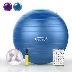 FayTOP 65cm Exercise Ball EXTRA THICK Frosted Surface 2200lb Capacity -Stability Ball, Yoga Ball ...