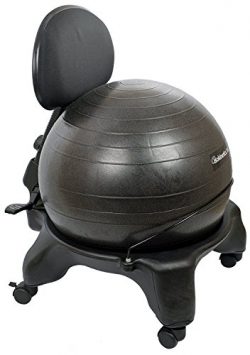 Isokinetics Inc. Adjustable Back Exercise Ball Office Chair – Standard Frame Height – ...