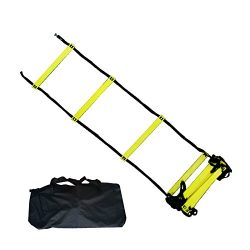 BlueDot Trading Speed Agility Training Sports Equipment Ladder, 30-Feet