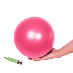 Small Exercise Ball, Mini Fitness Ball for Barre Pilates Balance Gym Yoga Balance Stability Bend ...