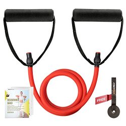 RitFit Single Resistance Exercise Band With Comfortable Handles – Ideal for Physical Thera ...