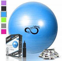 Exercise Ball -Professional Grade Exercise Equipment Anti Burst Tested with Hand Pump- Supports  ...