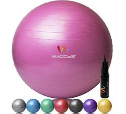 Wacces Fitness and Exercise Ball (Pink, 65 cm)