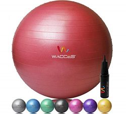 Wacces Fitness and Exercise Ball (Red, 65 cm)