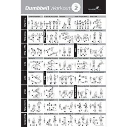 DUMBBELL EXERCISE POSTER VOL. 2 LAMINATED – Workout Strength Training Chart – Build  ...