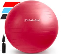 Expansive Living Anti Burst Exercise Ball (Red, 65 cm) – 2,000lbs STATIC STRENGTH STABILIT ...