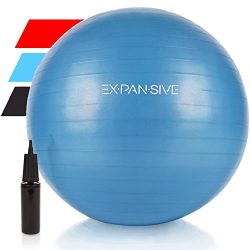 Expansive Living Anti Burst Exercise Ball (Blue, 75cm) – 2,000lbs STATIC STRENGTH STABILIT ...