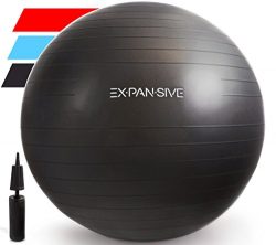 Expansive Living Anti Burst Exercise Ball (Black, 55cm) -2,000lbs STATIC STRENGTH STABILITY, PRO ...