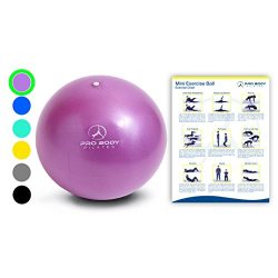 Mini Exercise Ball – 9 Inch Small Bender Ball for Stability, Barre, Pilates, Yoga, Core Tr ...