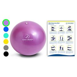 Mini Exercise Ball – 9 Inch Small Bender Ball for Stability, Barre, Pilates, Yoga, Core Tr ...