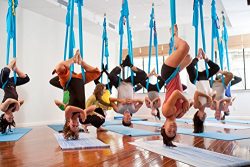 F.Life Aerial Pilates Flying Yoga Hammock 5 Yards with yoga accessories and guide For bodybuildi ...