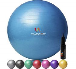 Wacces Professional Exercise, Stability and Yoga Ball for Fitness, Balance & Gym Workouts- A ...