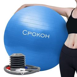 CPOKOH Exercise Ball,Anti Burst and Slip Resistant Yoga Ball,Swiss Ball,Fitness Ball,Ab Exercise ...