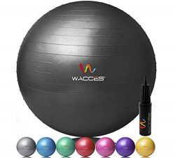 Wacces Professional Exercise, Stability and Yoga Ball for Fitness, Balance & Gym Workouts- A ...