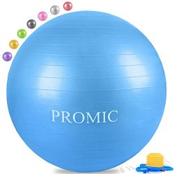 PROMIC Professional Grade Static Strength Exercise Stability Balance Ball with Foot Pump,65cm,Blue