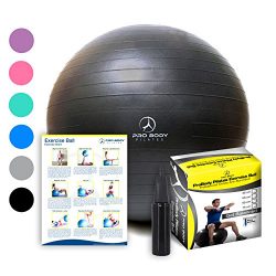 Exercise Ball – Professional Grade Anti-Burst Fitness, Balance Ball for Pilates, Yoga, Bir ...