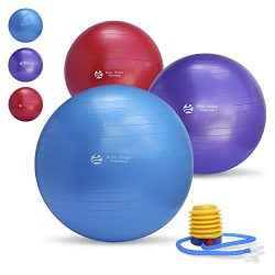 Body Shape Wellness Premium Exercise Gym Quality Ball with Pump-55cm/65cm/75cm well Tested up to ...