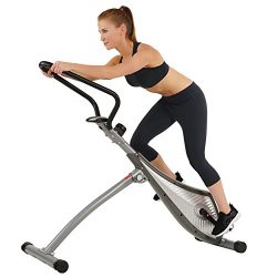 Sunny Health & Fitness SF-B0419 Incline Plank Standing Exercise Bike