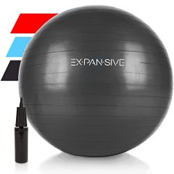 Expansive Living Anti Burst Exercise Ball (Black, 75cm) -2,000lbs STATIC STRENGTH STABILITY, PRO ...