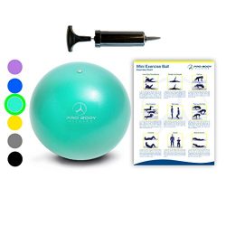 Mini Exercise Ball with Pump – 9 Inch Small Bender Ball for Stability, Barre, Pilates, Yog ...