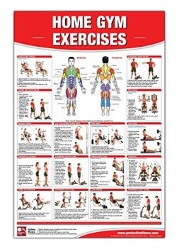 Home Gym Exercises Laminated Poster/Chart: Home Gym Chart, Home Gym Weight Lifting Routine, Weig ...