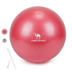 Camel Small Exercise Ball Mini Ball for Pilates Yoga Stability Barre Core Training & Physica ...