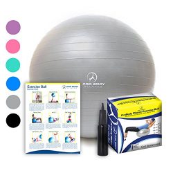 Exercise Ball – Professional Grade Anti-Burst Fitness, Balance Ball for Pilates, Yoga, Bir ...