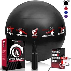 Epitomie Fitness Active Balance Fitness Ball with Imprinted Exercise and Training eBook (Black/7 ...