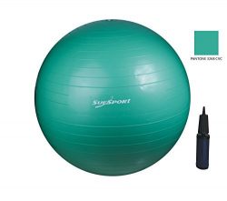 SUESPORT 1000lbs Static Strength Anti-Burst Exercise Ball Kit With Pump, Diameter 26″ (65c ...