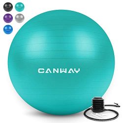 Canway Exercise Ball – Extra Thick & Slip Resistant Workout Ball, Professional Grade 2 ...
