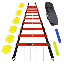 TOCO FERIDO 20ft Agility Ladder Set with 12 Rungs, 12 Sports Disc Cones, 4 Metal Pegs, 2 Resista ...