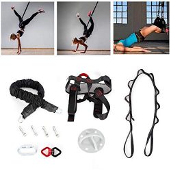 Yoga Rope Bungee Resistance Band, 3.93 FT 100KG Gravity Aerial Yoga Bungee Resistance Bands Danc ...