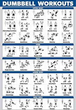 Palace Learning Dumbbell Workout Exercise Poster – Free Weight Body Building Guide | Home  ...