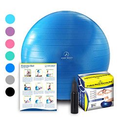 ProBody Pilates Exercise Ball, 65cm Dia – Blue